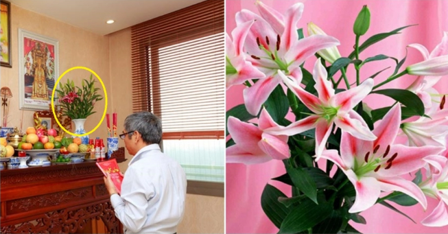 Nhung loai hoa du co dep toi may cung khong duoc bay tren ban tho