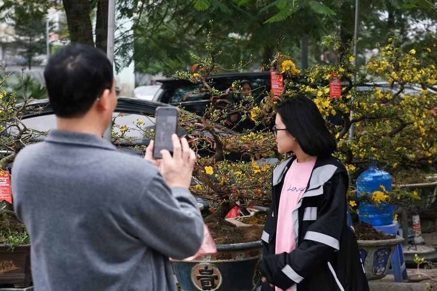 Hai bố con lưu lại khoảnh khắc bên cánh mai vàng rực rỡ.