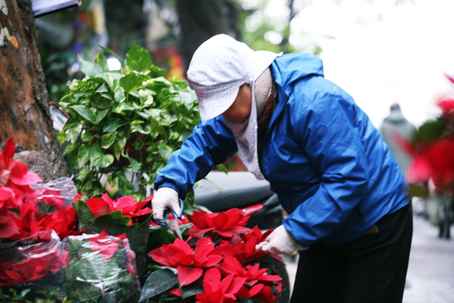 Những người bán cắt tỉa hoa nhẹ nhàng, tỉ mỉ và cẩn thận, tránh cho cánh hoa không bị rơi rụng.