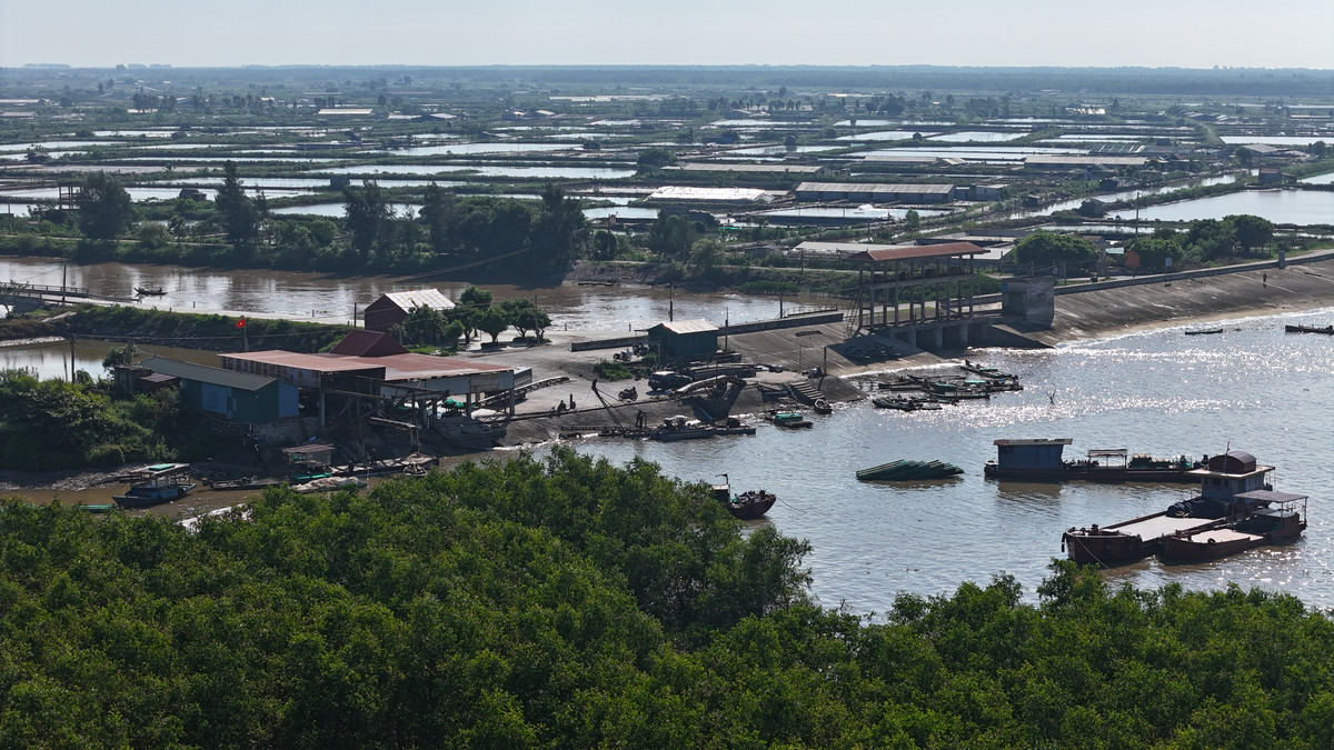 Ninh Binh: Bai tap ket trung chuyen ngao gay o nhiem moi truong?