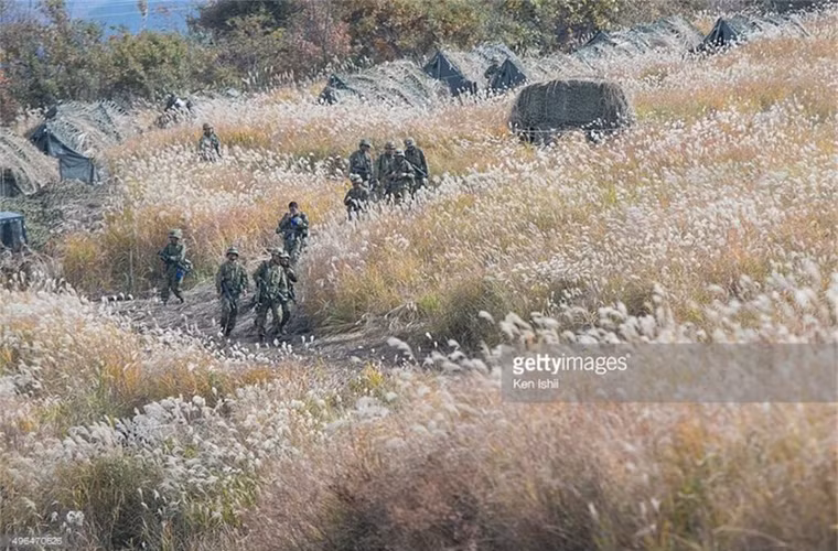 Khu vực lều trại của binh sĩ tập trận nằm giữa cánh đồng thơ mộng.