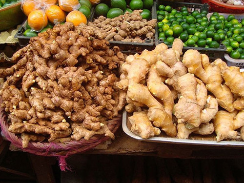 Gừng. Từ lâu gừng được sử dụng như một vị thuốc chữa bệnh trong Đông y. Bên cạnh đó, ăn gừng còn góp phần mang lại khả năng ngăn ngừa các bệnh tim mạch, giảm đau, tăng cường chức năng hoạt động của hệ tiêu hóa, giảm cân hiệu quả.