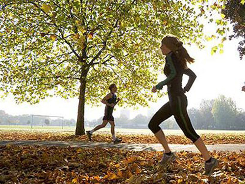 Làm được điều này là nhờ vận động ngăn ngừa tình trạng sản sinh các hormone không có lợi, tăng cường sức đề kháng, giữ hệ tiêu hóa được khỏe mạnh. Mặt khác, vận động còn khiến cơ thể gặp khó khăn trong việc tích lũy mỡ làm tăng nguy cơ mắc bệnh.