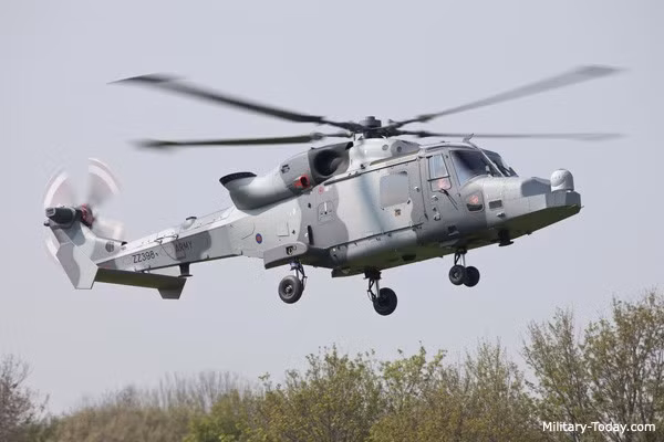 AW159 Wildcat là trực thăng chống ngầm tiên tiến nhất của Hải quân Hoàng gia Anh phục vụ từ năm 2014. Ưu điểm của nó là sự nhanh nhẹn cùng cảm biến tìm kiếm mục tiêu tối tân. AW159 Wildcat có thể mang theo 2 ngư lôi Sting Ray, mìn sâu hoặc 4 tên lửa không đối đất đa năng FASGW cho phép tiêu diệt các mục tiêu cơ động nhanh trên biển.
