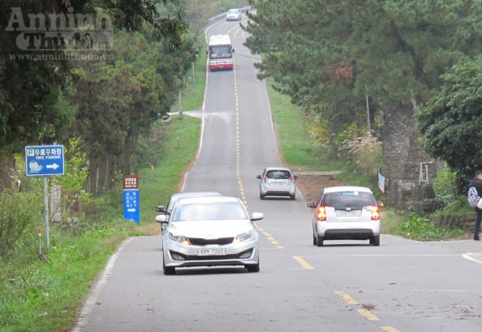 Ron nguoi di tren con duong ma quai