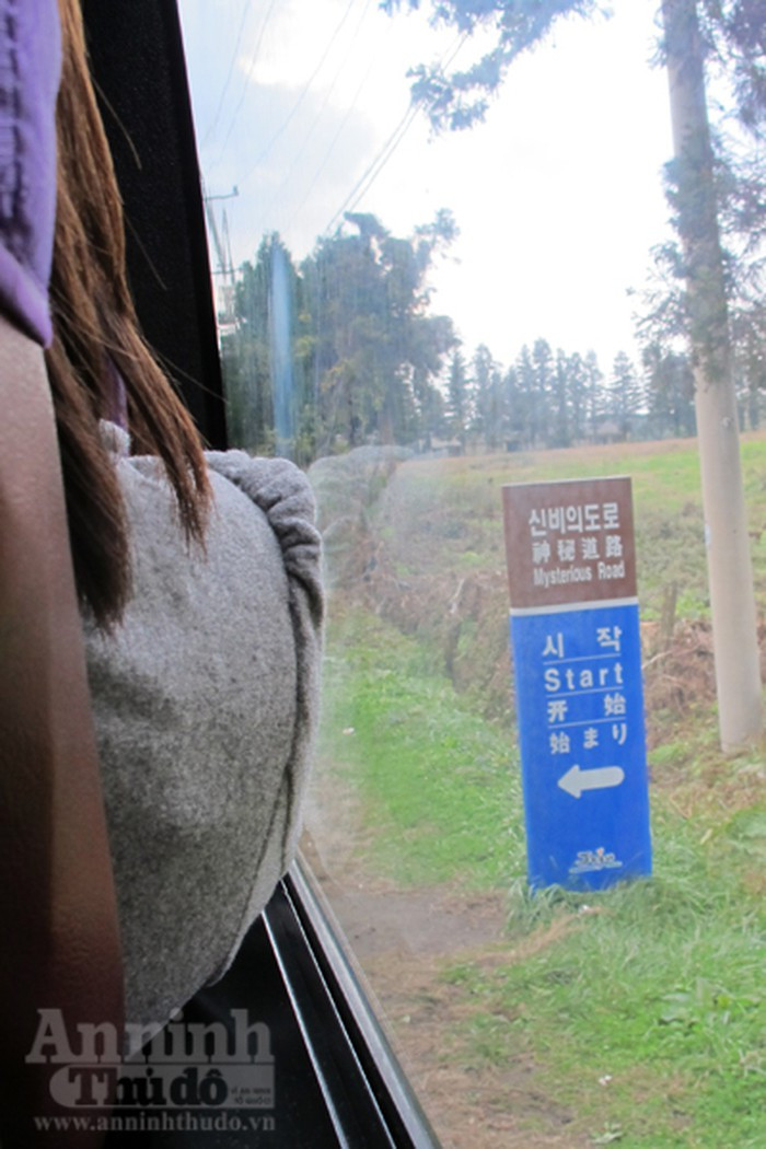 Ron nguoi di tren con duong ma quai-Hinh-2