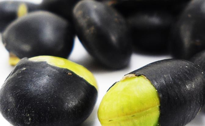 1. Đậu đen: Đậu đen chứa nhiều Anthocyanins, có thể thúc đẩy quá trình trao đổi chất và tuần hoàn máu, loại bỏ rác và độc tố, nạo vét mạch máu và ngăn ngừa tắc nghẽn mạch máu.