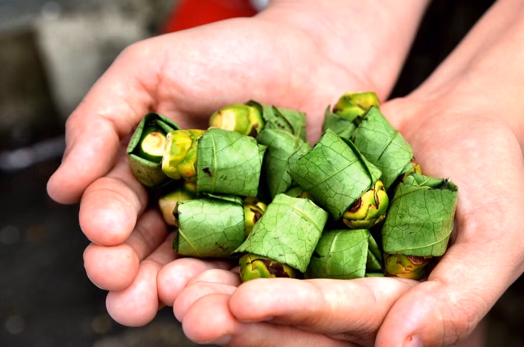 3. Những người thích nhai trầu: Các ancaloit và iscos chứa trong trầu có độc tính đối với tế bào của con người. Khi nhai trầu, niêm mạc miệng sẽ xảy ra một loạt phản ứng với các ancaloit và iscos này. Lâu dần sẽ dẫn đến xơ hóa niêm mạc miệng, từ đó làm xuất hiện ung thư miệng.