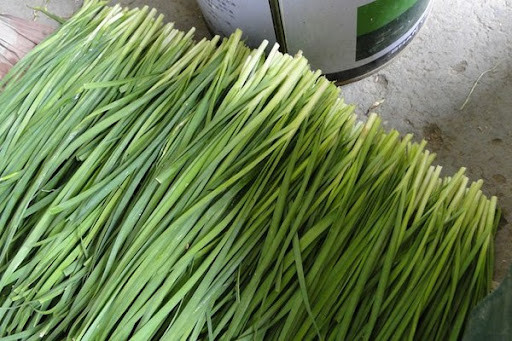 Đàn ông thường xuyên ăn rau hẹ có tác dụng kích thích sinh lý, bổ thận tráng dương, giúp nam giới trở nên hấp dẫn hơn. Ngoài ra, rau hẹ còn có tác dụng thanh nhiệt, giải độc rất hiệu quả.