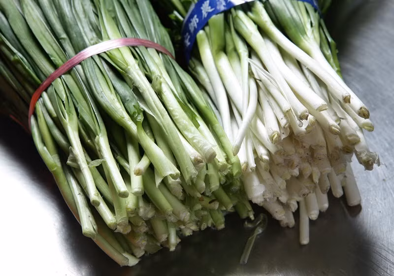 Rau hẹ là một loại rau khá phổ biến, khả năng phát triển và thích nghi của rau hẹ rất mạnh, mọi người có thể trồng chúng trong sân nhà. Theo nghiên cứu khoa học, rau hẹ chứa rất nhiều chất dinh dưỡng và còn được dùng làm thuốc chữa bệnh.