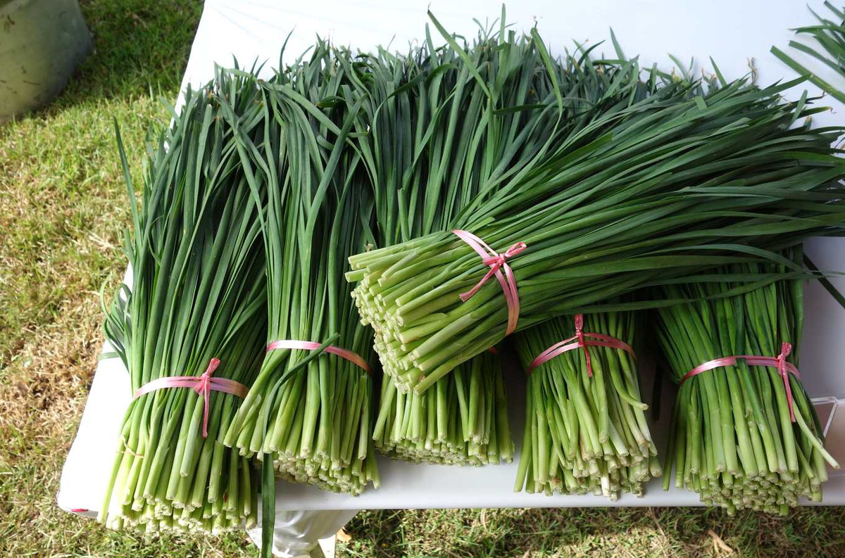 Ung thư hiện là một trong những căn bệnh đáng sợ nhất. Vì chế độ sinh hoạt và ăn uống thời nay, ai cũng có thể bị mắc bệnh ung thư. Ung thư được xem như bệnh nan y, rất khó chữa khỏi. Không chỉ mang lại gánh nặng lớn cho gia đình, bệnh cũng sẽ ảnh hưởng trực tiếp đến thể chất và tâm lý của bệnh nhân. (Ảnh minh họa)