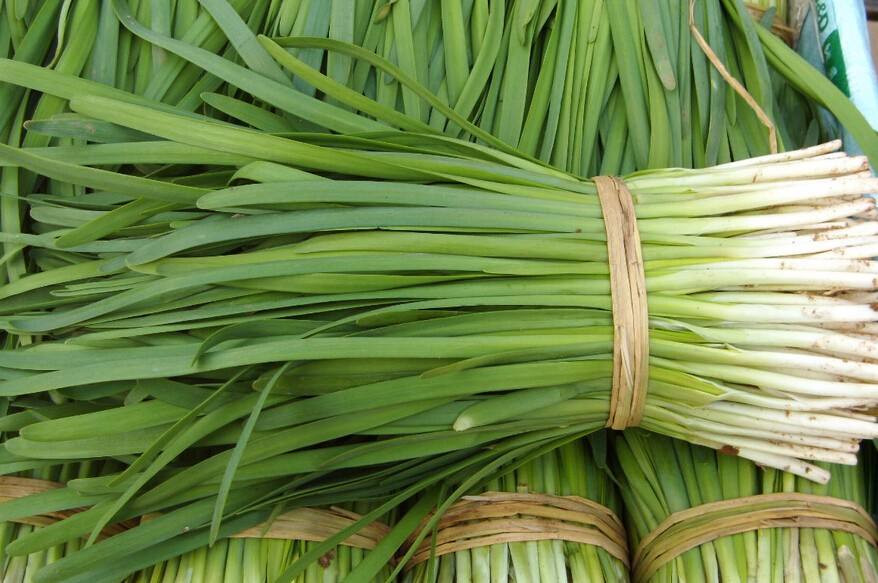 Bên cạnh đó, rau hẹ chứa hợp chất có khả năng chống viêm mạnh hơn cả thuốc kháng sinh vì nó là một nguồn dồi dào các allcin, odorin, sulfit có thể dùng để chữa nhiễm trùng, viêm tai, viêm lợi.