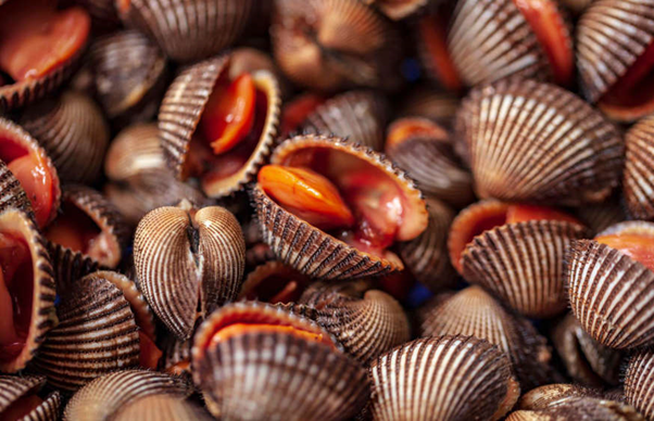 Sò huyết: Sò huyết dùng để chỉ nhiều hơn một loại sò, chỉ cần sò có chất lỏng màu đỏ thì có thể gọi là sò huyết. Sò huyết nguy hiểm là do chúng thường được ăn sống. Khi ăn sống, sò huyết không chỉ tiềm ẩn nguy cơ nhiễm ký sinh trùng mà còn có thể truyền các bệnh như viêm gan A, sốt thương hàn và kiết lỵ, rất nguy hiểm. Có thể nói đây chẳng khác gì món ngon tử thần.