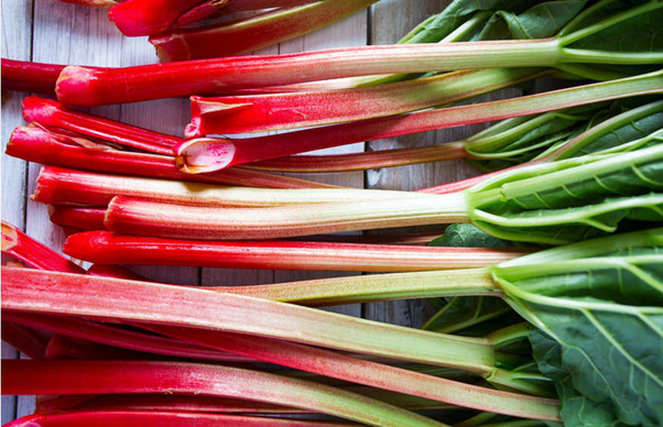 Lá đại hoàng: Đại hoàng là một vị thuốc nhuận tràng được sử dụng phổ biến trong y học Trung Quốc. Nhưng lá của cây đại hoàng có chứa hàm lượng axit oxalic cao. Rau bina, củ cải đường và ca cao cũng chứa hợp chất này. Với liều lượng lớn, nó sẽ kết hợp với canxi trong cơ thể tạo thành các tinh thể, có thể gây sỏi thận. Với liều lượng rất lớn, nó có thể ảnh hưởng đến nồng độ canxi trong máu và có thể gây tử vong.