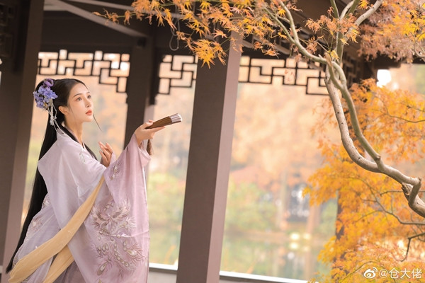 Hầu hết các nữ quan đều rất giỏi giang, ưa nhìn, hiền thục đức hạnh, từng hầu hạ bên cạnh hoàng đế khi còn trẻ. Đến khi được cất nhắc làm nữ quan dạy chuyện phòng the, kết cục thứ nhất chính là được thăng lên làm phi tử.