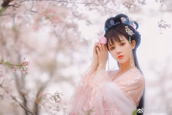 Thế nhưng trên thực tế, những nữ quan lên được vị trí phi, tần của hoàng đế cực ít, lý do là bởi hoàng thất cực kỳ chú ý đến gia cảnh. Những nữ quan này tuy có ngoại hình xuất chúng nhưng vẫn là cung nữ, xuất thân nghèo khó nên khó có chỗ đứng trong hậu cung.