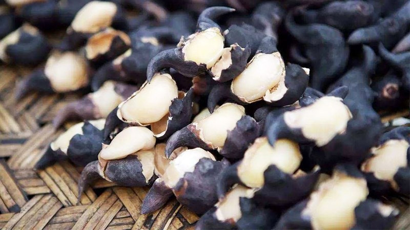 Bên cạnh đó, củ ấu cũng có khả năng gây rối loạn nhịp tim, tốt nhất bệnh nhân tiểu đường và bệnh thận hãy tránh xa củ ấu. Không nên cố chấp ăn làm hại thân thể.