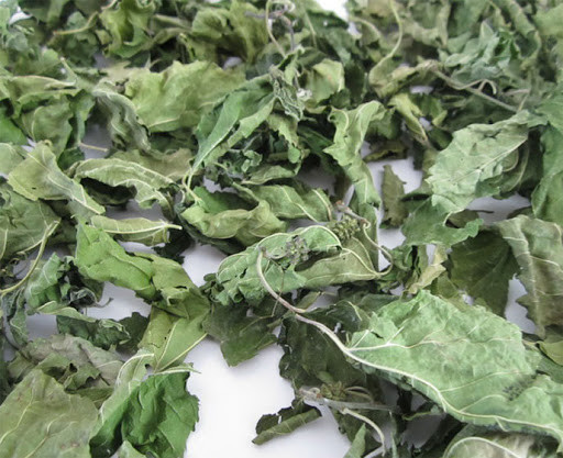 Do đó, nếu bạn chỉ uống một ly nước lá dâu tằm với mong muốn kiểm soát tốt lượng đường trong máu thì không hiệu quả. Thế nhưng, nếu uống nước lá dâu tằm thay nước đun sôi, vì bản thân lá dâu tằm có tính hàn, cơ thể sẽ sớm không chịu được.