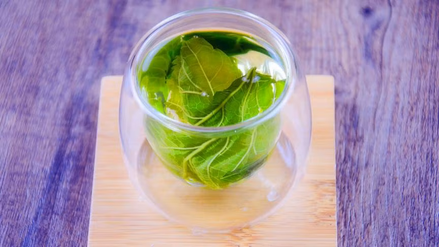 Ngoài ra, bác sĩ Lâm cũng chỉ ra rằng, không giống như các loại thuốc hạ đường huyết, nước lá dâu tằm chưa từng trải qua các thử nghiệm lâm sàng nghiêm ngặt, định lượng liều lượng và kiểm tra độ an toàn, vì thế rất khó định lượng tác dụng.