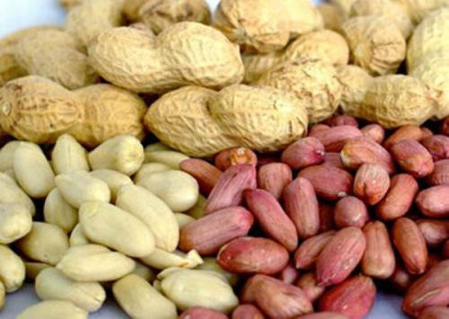 3. Lạc (đậu phộng): Lạc (đậu phộng) có tác dụng nhất định trong việc thông sữa, gọi sữa về. Mẹ bầu ăn nhiều đậu phộng có thể giúp bổ khí huyết, sau khi sinh giúp gọi sữa về nhanh chóng. (Ảnh: Sohu)