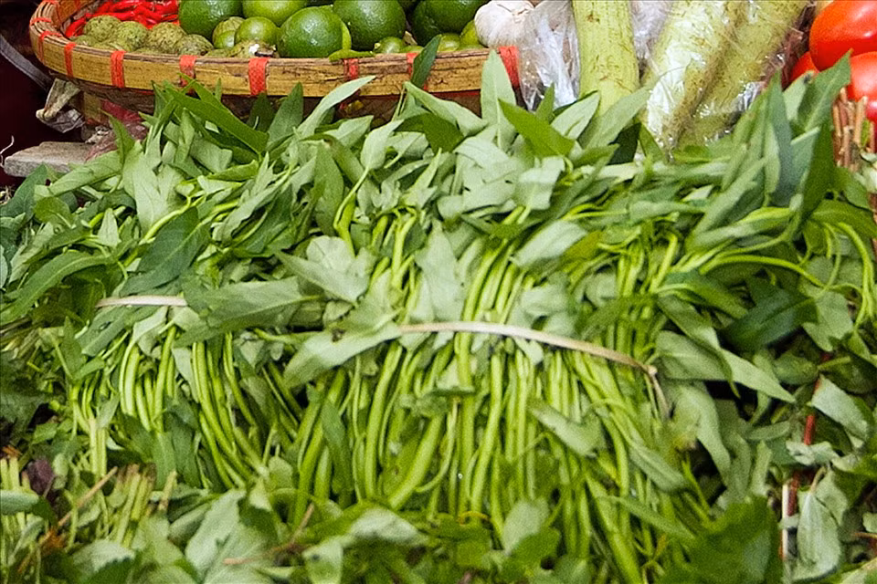 Đối với rau muốn, đa số mọi người sau khi nhặt đều chỉ rửa trực tiếp qua nước sạch vài lần rồi cho vào nồi bắt đầu nấu. Thực tế với cách làm này, ký sinh trùng trong rau muống vẫn tồn tại và trực tiếp vào dạ dày rất dễ dàng.