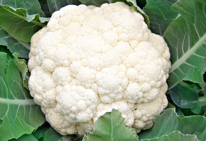 Loại rau thứ ba là súp lơ: Nói đến súp lơ thì chắc hẳn ai cũng quen, thường thì khi mua súp lơ về mọi người sẽ thấy các thành phần của súp lơ tiếp xúc trực tiếp ra bên ngoài.