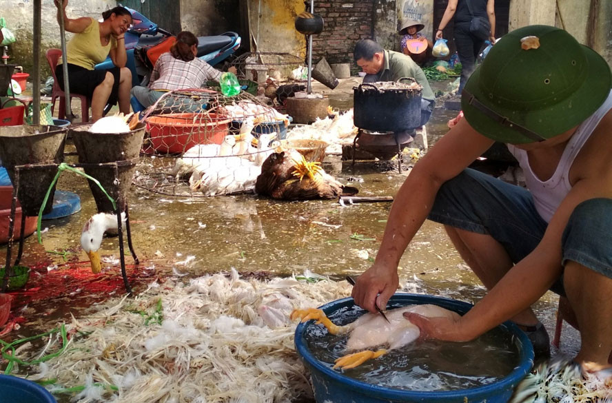 Tuy nhiên, điều kỳ lạ là sau khi nhập viện, các xét nghiệm định kỳ liên quan bao gồm vi rút cúm, vi rút hô hấp, viêm phổi do mycoplasma và các xét nghiệm khác đều cho kết quả âm tính, phổi sau vài ngày lại tổn thương tiến triển nặng hơn trước.