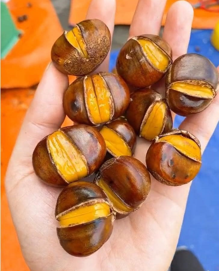 Hơn nữa, ngay cả khi cơ thể hoàn toàn khoẻ mạnh, tốt nhất cũng không nên ăn quá 10 hạt dẻ/ngày. Đặc biệt, nếu chức năng tiêu hóa của dạ dày và ruột yếu sẵn, nên giảm lượng sao cho phù hợp.