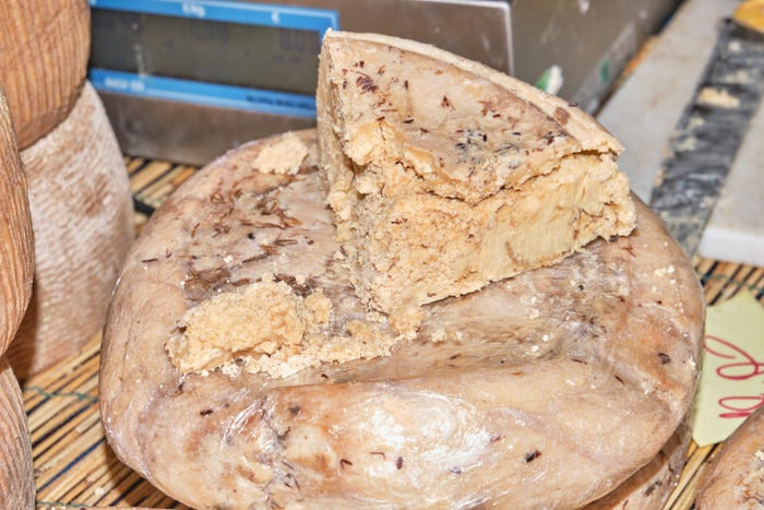 Casu Marzu là một loại pho mát Sardinia truyền thống được lên men bởi giòi, không dành cho người yếu tim hay dạ dày yếu. Chính phủ Hoa Kỳ thậm chí còn cấm sử dụng loại pho mát này vì lý do không đảm bảo vệ sinh an toàn thực phẩm.