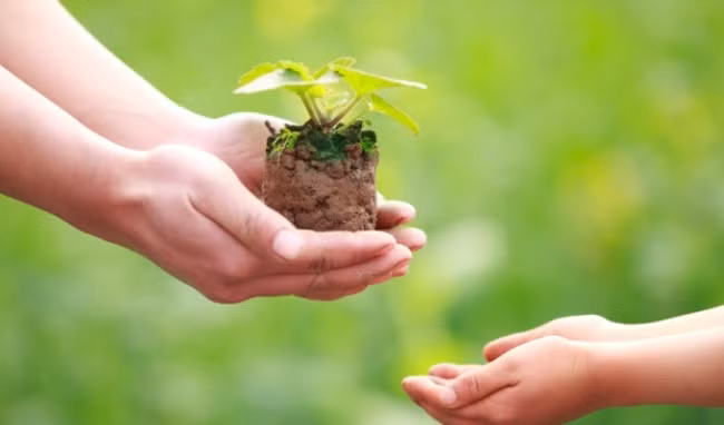 Phat To: Muon nhan phuc, truoc tien phai biet tao phuc cho nguoi khac-Hinh-3