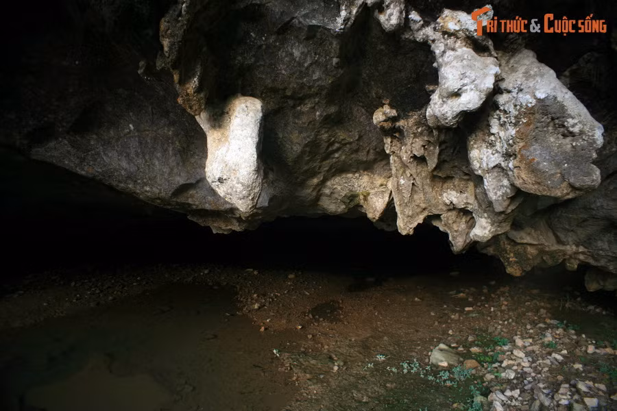 Dù vậy, đầu phía Tây của hang vẫn còn giữ được một phần hang động tự nhiên có diện tích khá lớn, có thể chứa được đến cả trăm người.