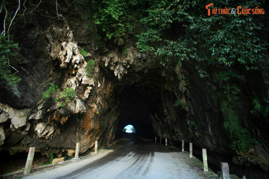 Hai cửa hang vẫn giữ được những nét kiến tạo tự nhiên, được bao phủ bởi thảm thực vật rậm rạp, khác biệt hoàn toàn với dáng vẻ nhân tạo của các hầm đường bộ thường thấy.