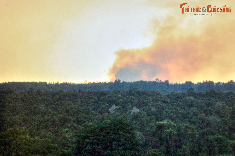 Dù là một trong những kiểu rừng đang bị đe dọa nhiều nhất (do nạn phá rừng và biến đổi khí hậu), nhưng cho đến nay rừng đầm lầy than bùn là kiểu rừng ít được nghiên cứu và chưa được hiểu rõ nhất.