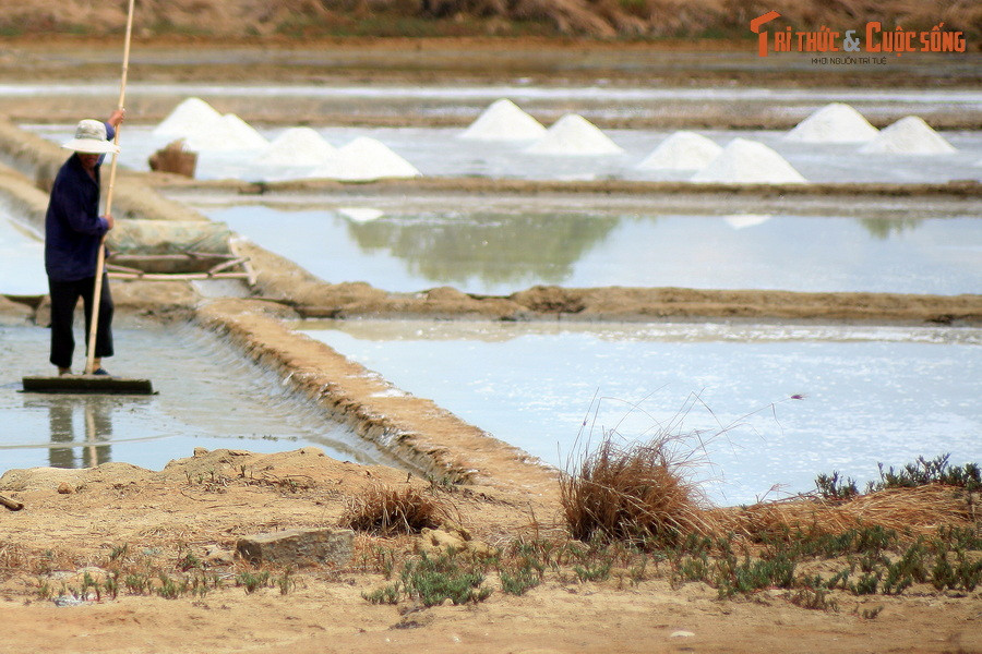  8. Cánh đồng muối Bạc Liêu. Hai huyện Đồng Hải và Hòa Bình được coi là thủ phủ của nghề làm muối có tuổi đời 100 năm của Bạc Liêu. Những cánh đồng muối nơi đây vừa là cảnh quan đẹp, vừa mang nhiều giá trị văn hóa, thể hiện qua kỹ thuật làm muối độc đáo được lưu truyền qua nhiều thế hệ.