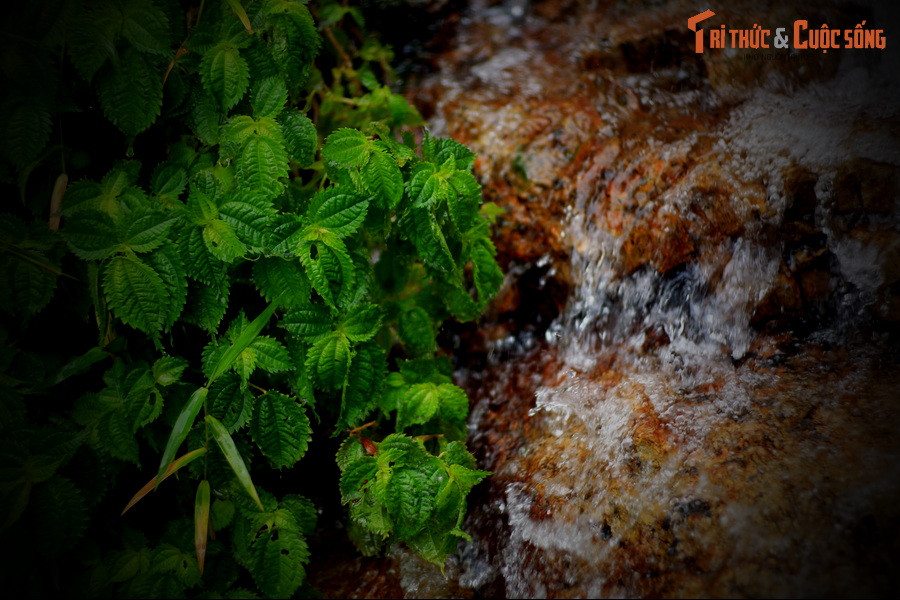 Từ đó Ô Quy Hồ và nàng tiên nữ thường xuyên hẹn hò, tình tự bên dòng thác. Họ đắm chìm trong hạnh phúc và tưởng như cuộc đời mình đã an bài.