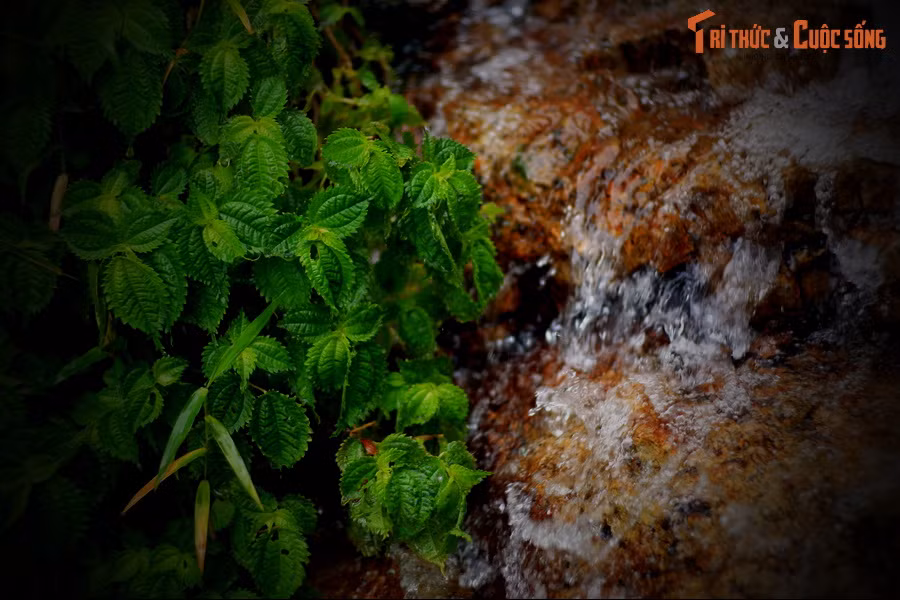 Từ đó Ô Quy Hồ và nàng tiên nữ thường xuyên hẹn hò, tình tự bên dòng thác. Họ đắm chìm trong hạnh phúc và tưởng như cuộc đời mình đã an bài.