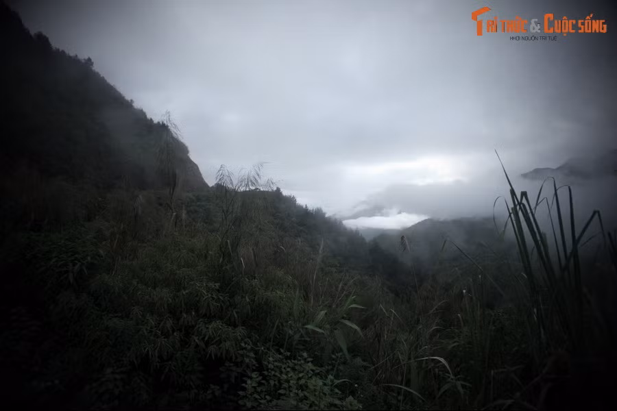 Không lấy thế làm buồn, Ô Quy Hồ coi đây là cơ hội để có được cuộc sống tự do tự tại mà mình mong muốn bấy lâu. Ngày ngày, chàng lên núi đốn củi, thổi sáo, làm bạn với cỏ cây, muông thú.