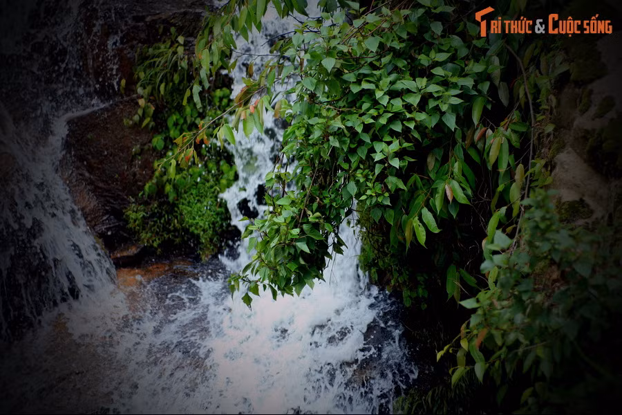 Nàng tiên út vô tình nghe thấy tiếng sáo của Ô Quy Hồ cất lên và đem lòng yêu mến chàng tiều phu. Nhan sắc nuột nà của nàng tiên cũng khiến tràng trai trẻ không hỏi rung động.