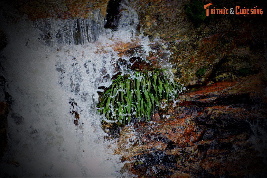 Một ngày nọ, bảy người con gái của Ngọc Hoàng, còn được gọi là Thất tiên nữ, ngẫu hứng xuống trần gian dạo chơi và tắm ở thác nước gần nơi chàng Ô Quy Hồ sinh sống.