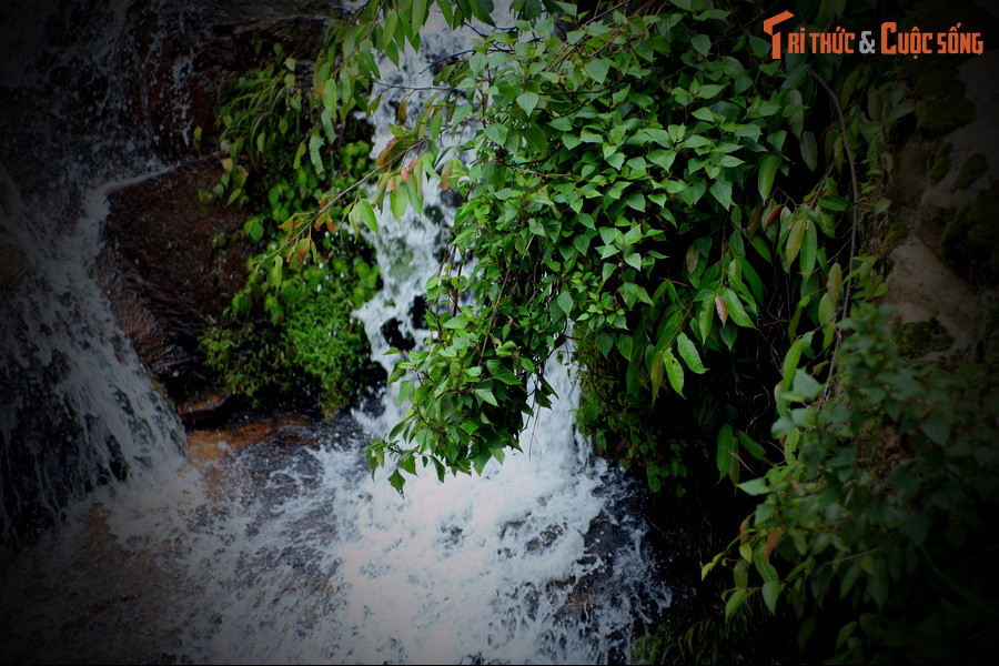 Nàng tiên út vô tình nghe thấy tiếng sáo của Ô Quy Hồ cất lên và đem lòng yêu mến chàng tiều phu. Nhan sắc nuột nà của nàng tiên cũng khiến tràng trai trẻ không hỏi rung động.
