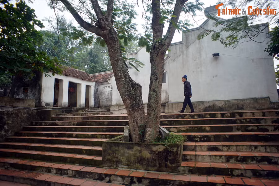 Kiến trúc đền Cô Tiên có ba lớp hình chữ Đinh, gồm Tiền đường, Trung đường và Hậu cung. Theo các thăng trầm lịch sử, ngôi đền đã nhiều lần bị tàn phá và được trùng tu tôn tạo. Lần tu bổ gần đây nhất vào năm 2010.