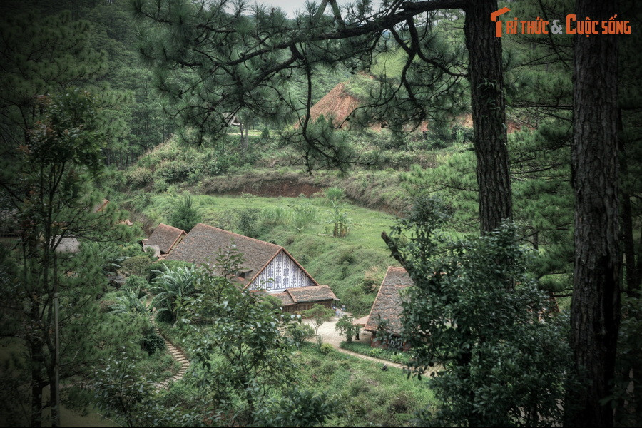 Vì quá yêu một người con gái, một chàng trai K'Ho đã lặng lẽ lên rừng đi tìm và nhặt đá với ước nguyện xây một “thiên đường tình ái” giữa rừng sâu để tặng người yêu.