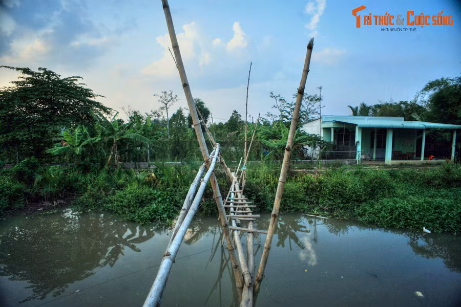 Cầu khỉ ở Việt Nam từng được báo chí quốc tế đánh giá là loại cầu đáng sợ hàng đầu thế giới, gây thót tim với những người lần đầu đi qua. Tuy nhiên, với người dân vùng sông nước Nam Bộ, việc đi lại, thậm chí là chạy nhảy, mang vác xe đạp và hàng hóa cồng kềnh qua cầu là điều rất bình thường.