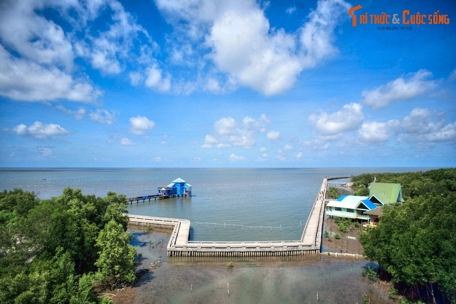  11. Mũi Cà Mau - Cà Mau. Mũi Cà Mau (huyện Ngọc Hiển, tỉnh Cà Mau) là mũi đất địa đầu cực Nam, một địa danh có ý nghĩa thiêng liêng mà bất kỳ người dân Việt Nam nào cũng mong ước một lần được ghé thăm. Bao phủ mũi đất là hệ sinh thái rừng ngập mặn rất đa dạng, đặc trưng của miền đất phương Nam.