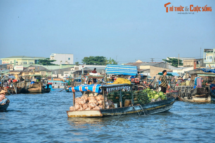 8. Chợ nổi Cái Răng - Cần Thơ. Họp trên đoạn sông Cái Răng cách bến Ninh Kiều của TP Cần Thơ khoảng 4km, chợ nổi Cái Răng là nơi hội tụ đầy đủ những nét văn hóa đặc sắc của vùng sông nước Cửu Long. Với hình thức buôn bán đặc thù trên ghe thuyền, chợ là một đầu mối kinh doanh trái cây, nông sản quan trọng của khu vực.