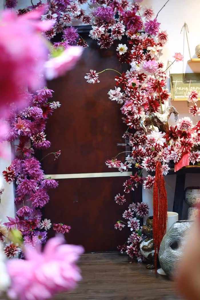 Ngam can phong ngap tran sac hoa thuoc duoc-Hinh-11