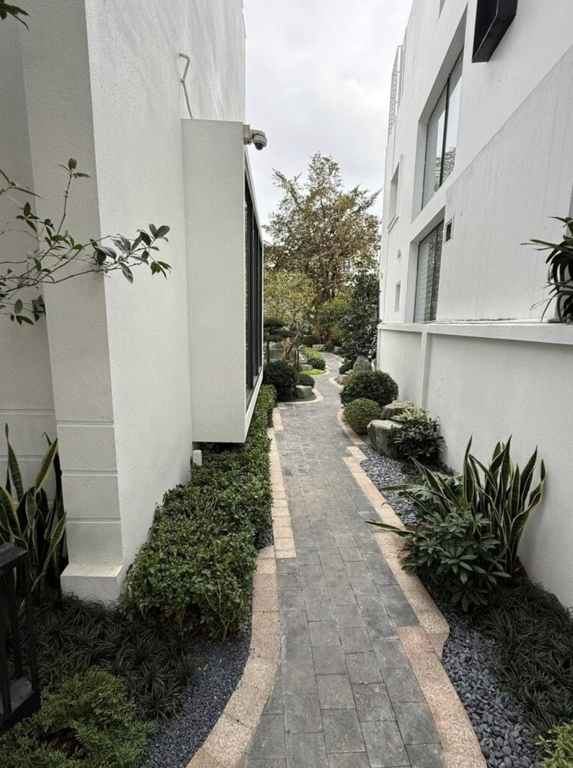 Lối đi bên hông nhà được lát đá, kết hợp sỏi trắng và xám giúp thoát nước tốt, giữ cho khu vực này luôn sạch sẽ, khô ráo. Khu vực này trồng những khóm cây thấp, được cắt tỉa gọn gàng.