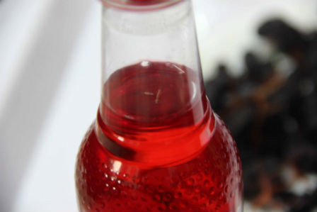 Phat hien 'di vat' moi giong sau trong chai nuoc Sting do-Hinh-2