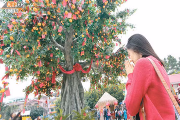 Đặt tế phẩm, thắp nhang, đốt nến sau đó lòng thành hướng về phía sao Bắc Đẩu cầu mong cho đào hoa, nhân duyên tốt đẹp. Sau khi cầu xong cần phải vái 3 cái về hướng sao Bắc Đầu để biểu thị cảm tạ.