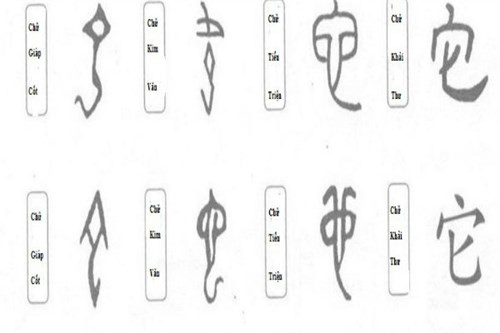 Nhung kham pha chua tung tiet lo ve Rong thoi co dai-Hinh-2